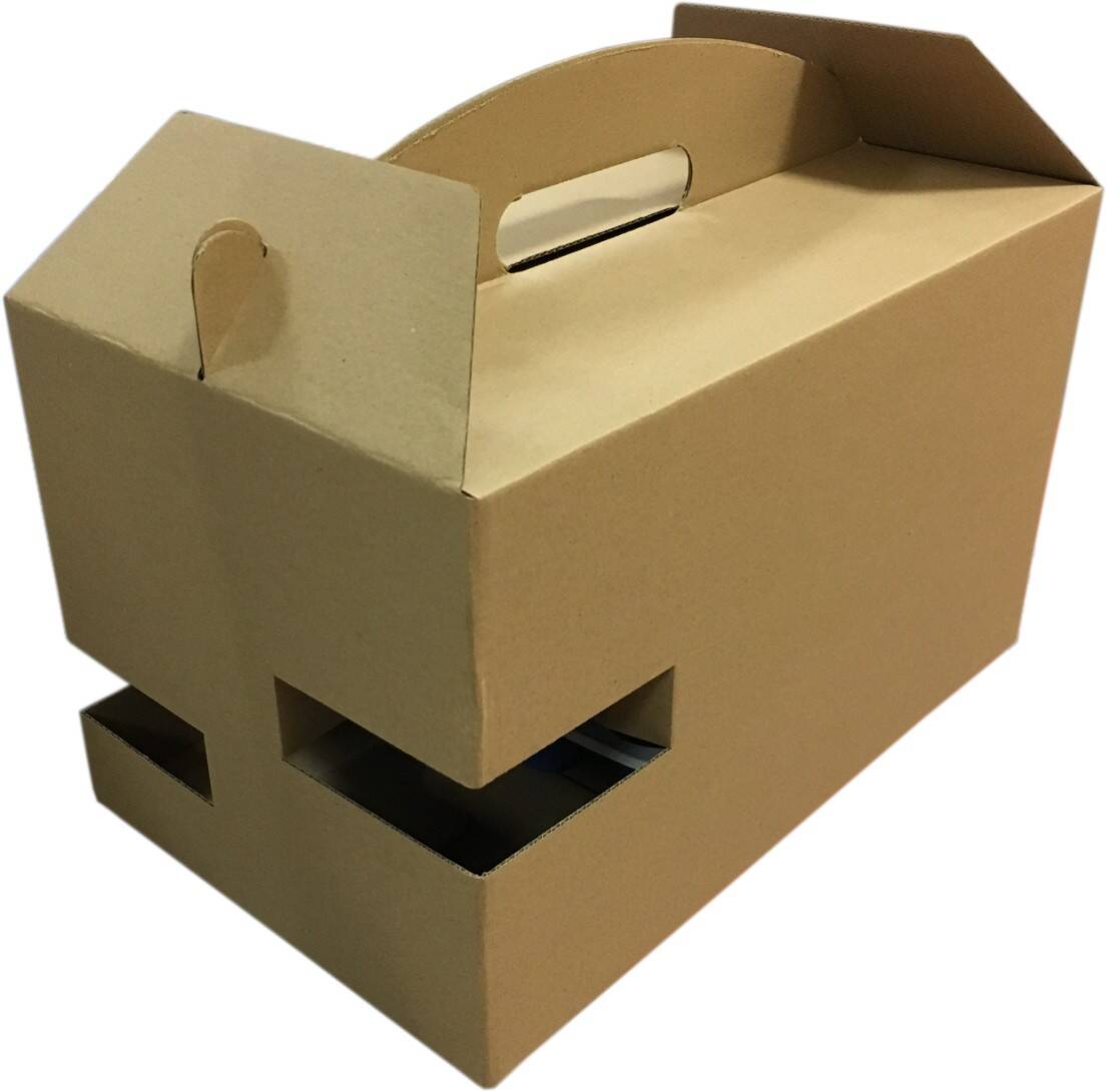 Karton DIETA BOX na 4 pojemniki+2butelki