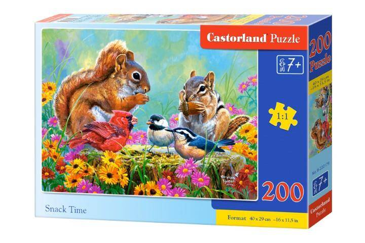 Puzzle 200el 222179 Castorland 40x29cm