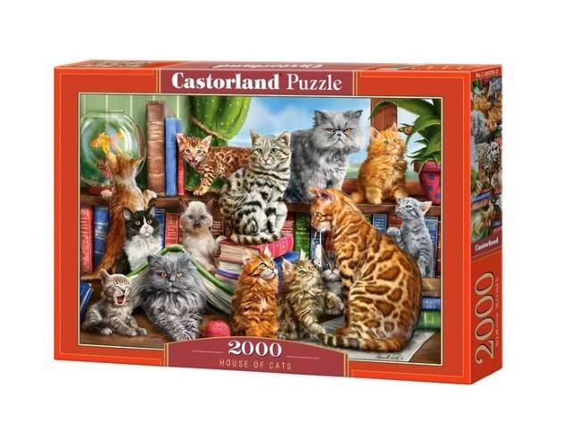 Puzzle 2000el 200726 R20 Castorland