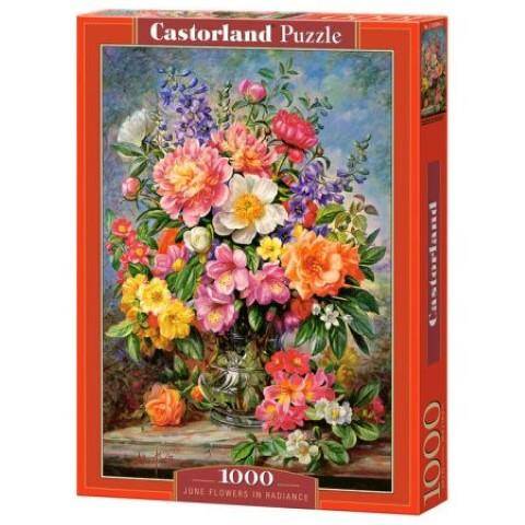 Puzzle 1000el 103904 Castorland 68x47cm