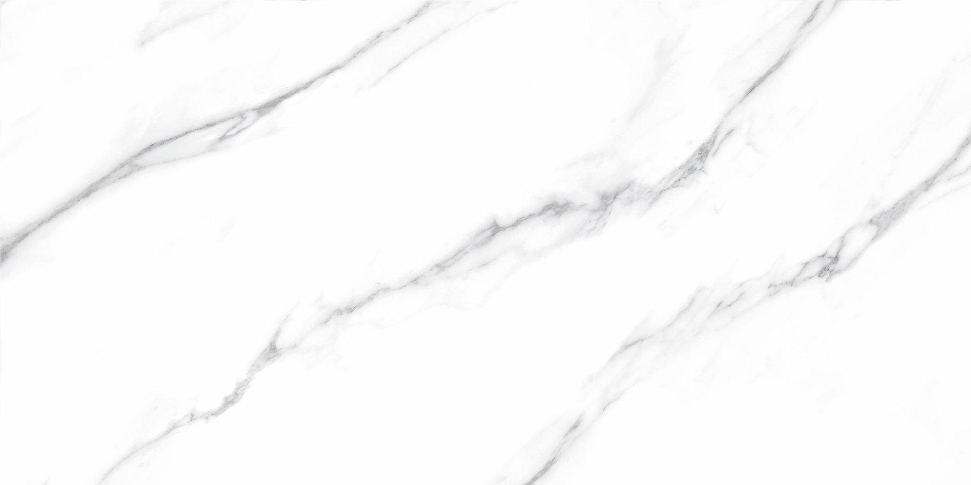 Carrara 60x120 Rec. nplus gloss