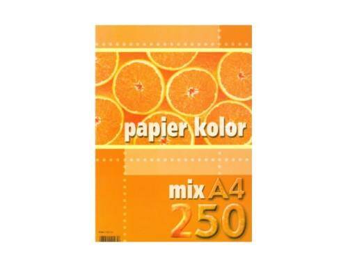 Papier xero kolor mix 80g op=250 KRESKA