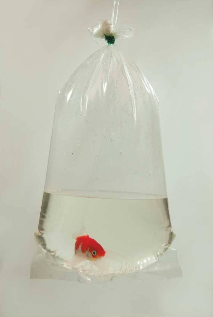 Plastic fish bag 14x40cm 100pcs