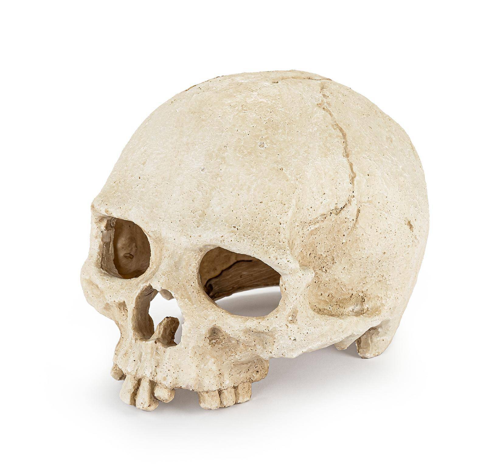 Skull 15cm R177