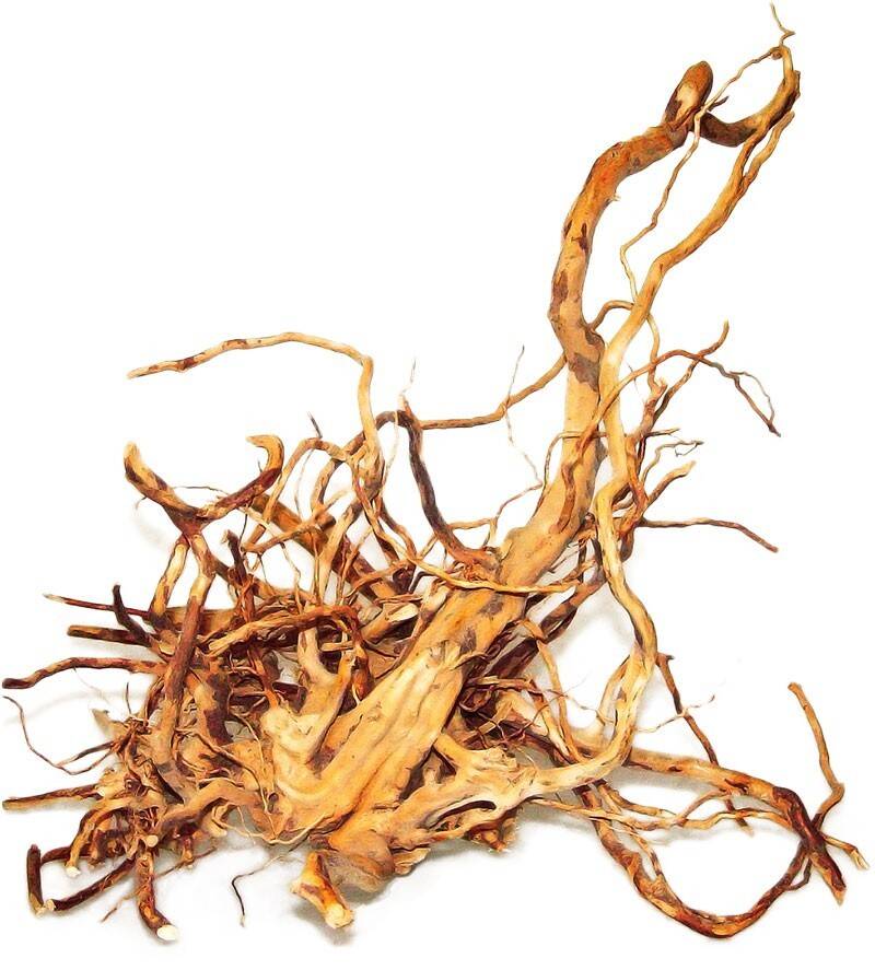 Red moor root, Happet D122