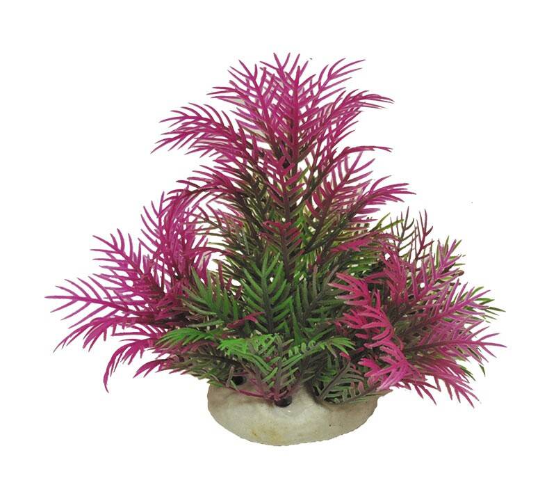 Aquarienpflanze, künstlich Happet 0F01 mix violet-grün (SR0F01GU)
