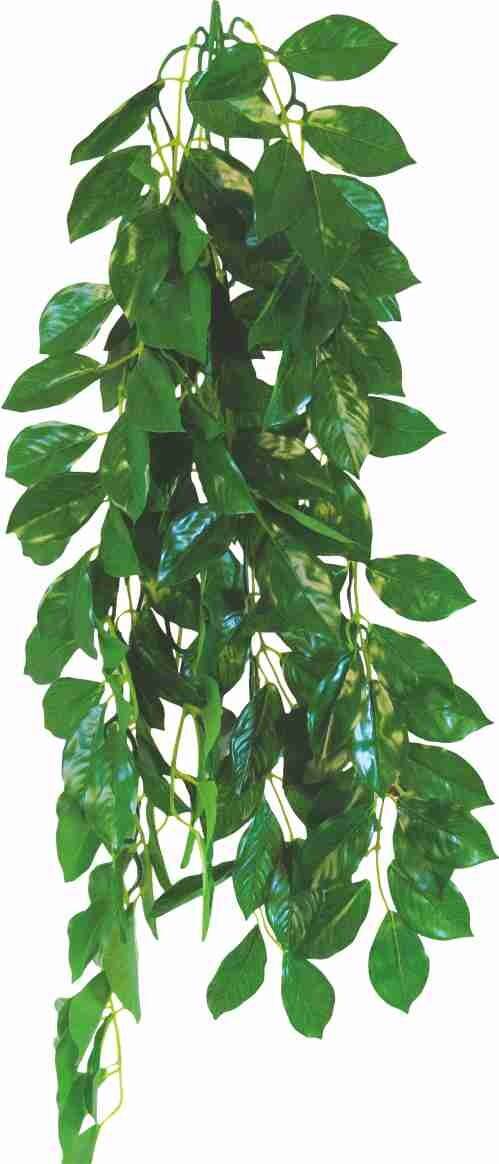 Künstliche Pflanze Terra Ficus 50cm fur Terrarium Happet (SR0F17GU)