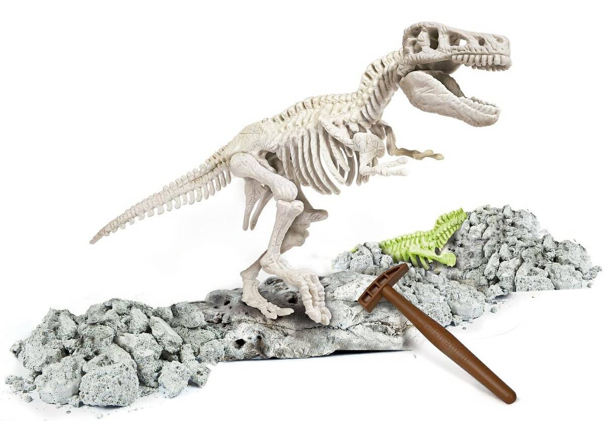 CLEMENTONI skamieniałości t-rex 60889