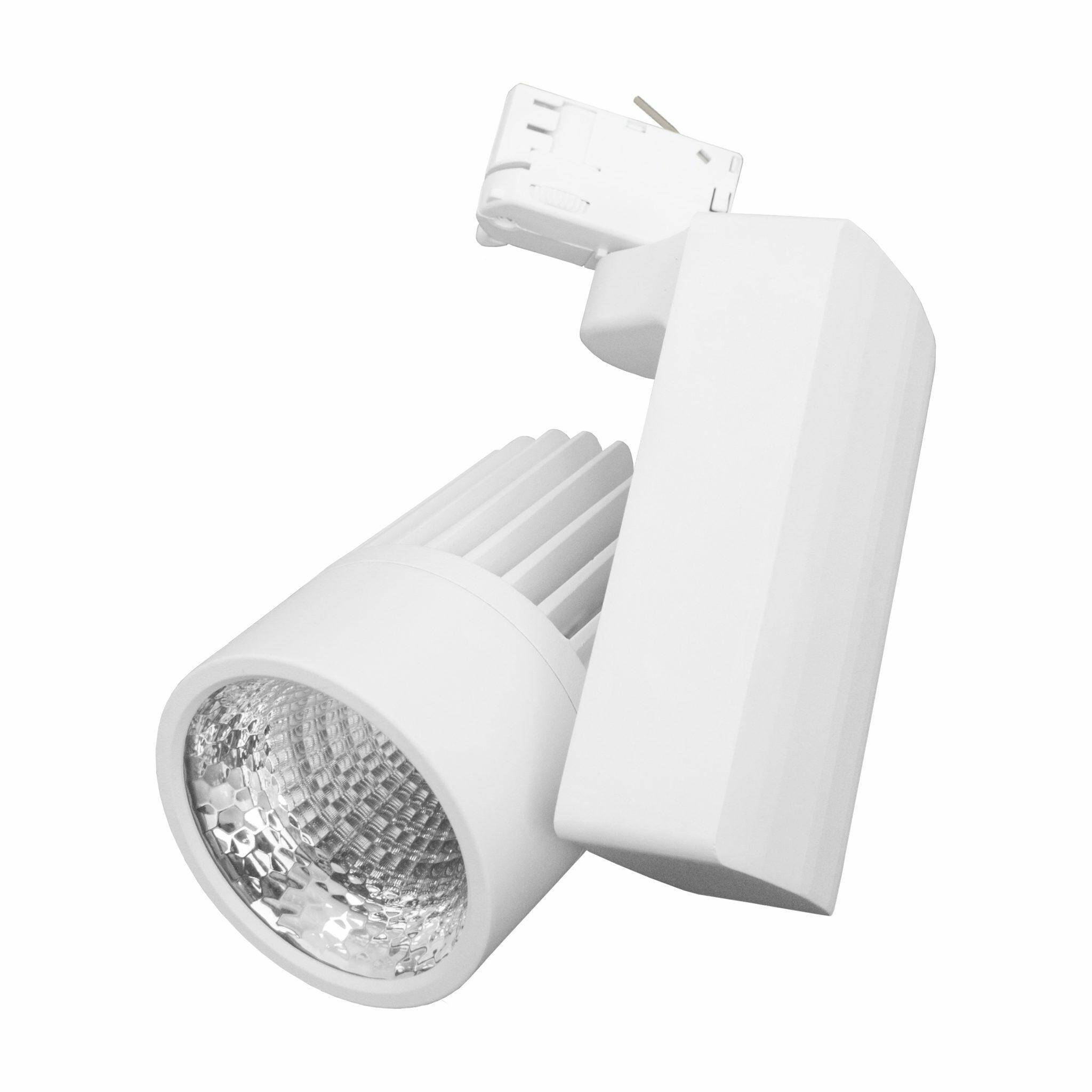 EOS Reflektor LED 30W MEAT 38D biały