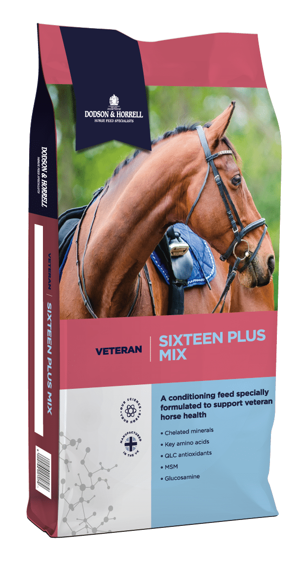 Dodson & Horrell Sixteen Plus Mix 20kg - pasz dla koni starszych