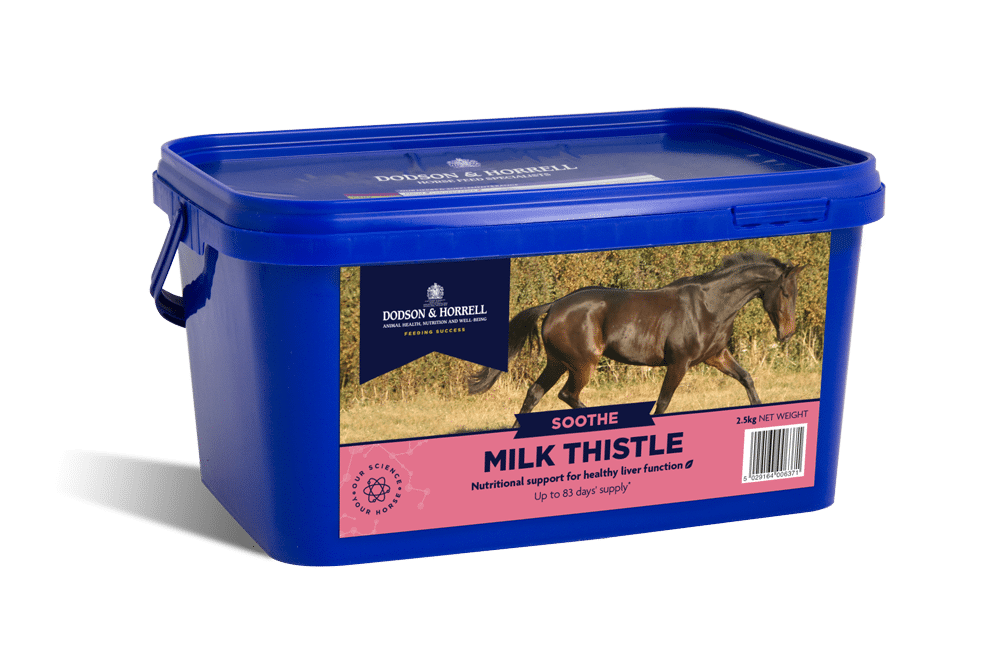 Dodson & Horrell Milk Thistle 500g - suplement dla koni wspierający pracę wątroby