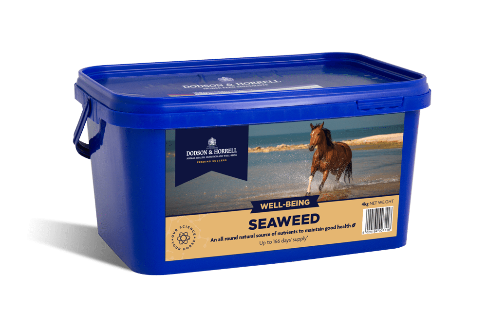 Dodson & Horrell Seaweed 2kg - suplement dla koni z algami morskimi