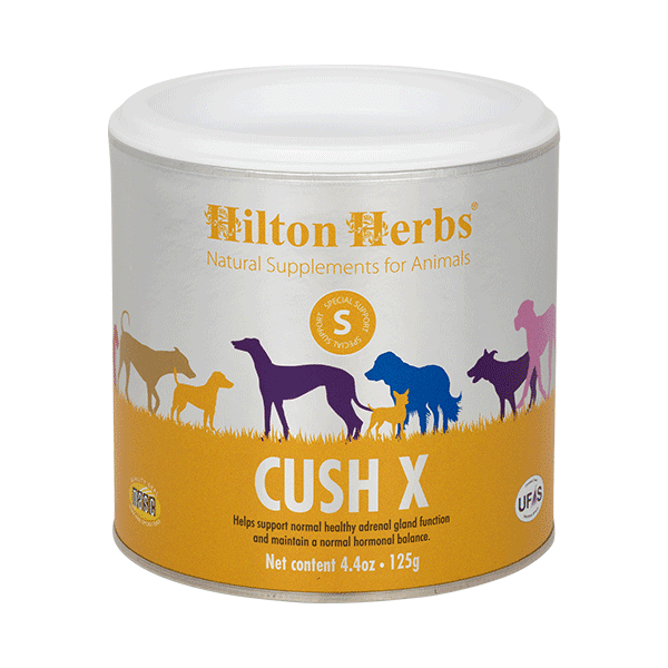 Hilton Herbs Cush X 60g - suplement dla psów wspierający gospodarkę endokrynną
