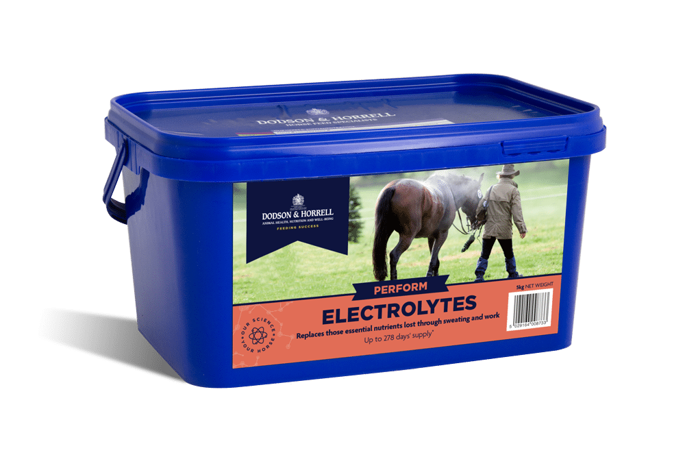 Dodson & Horrell Electrolytes 5 kg - elektrolity dla koni