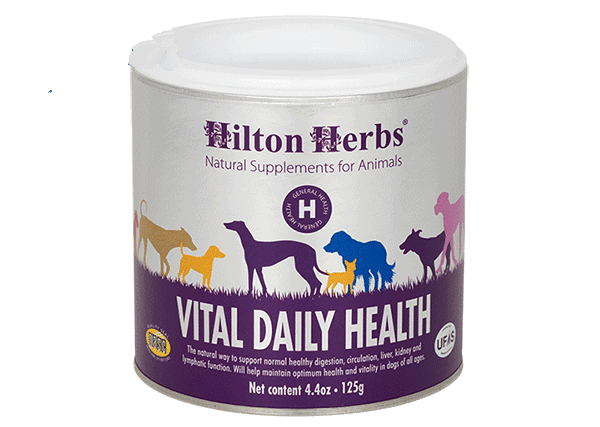 Hilton Herbs Vital Daily Health 60g - suplement dla psów zawierający kompleks witamin