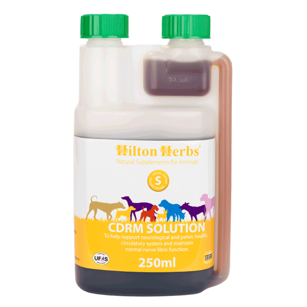 Hilton Herbs CDRM Solution 250ml - suplement dla psów narażonych na dysplazję