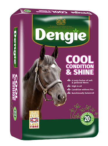 Dengie Cool Condition & Shine 20 kg - sieczka dla koni wspierająca przyrost masy mięśniowej