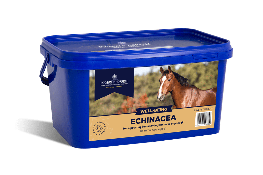 Dodson & Horrell Echinacea 1kg - suplement dla koni z echinaca