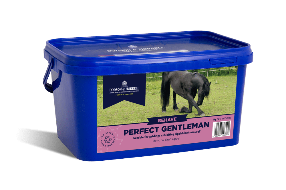 Dodson & Horrell Perfect Gentleman 1kg - suplement dla ogierów i wałachów