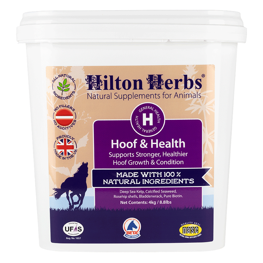Hilton Herbs Hoof & Health 4kg TUB - suplement dla koni wspierający zdrowie kopyt