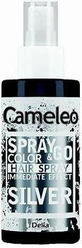 Delia Spray&Go spray koloryzujący do włosów silver 150ml