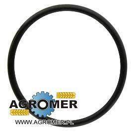 ORING U15973