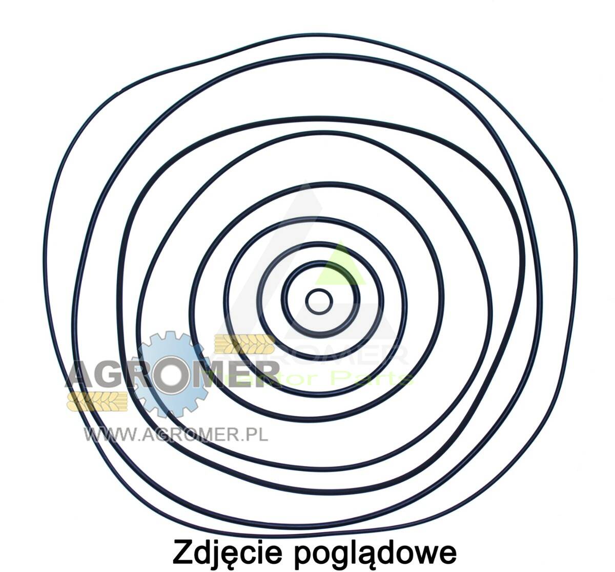 Oring 4X2 NBR