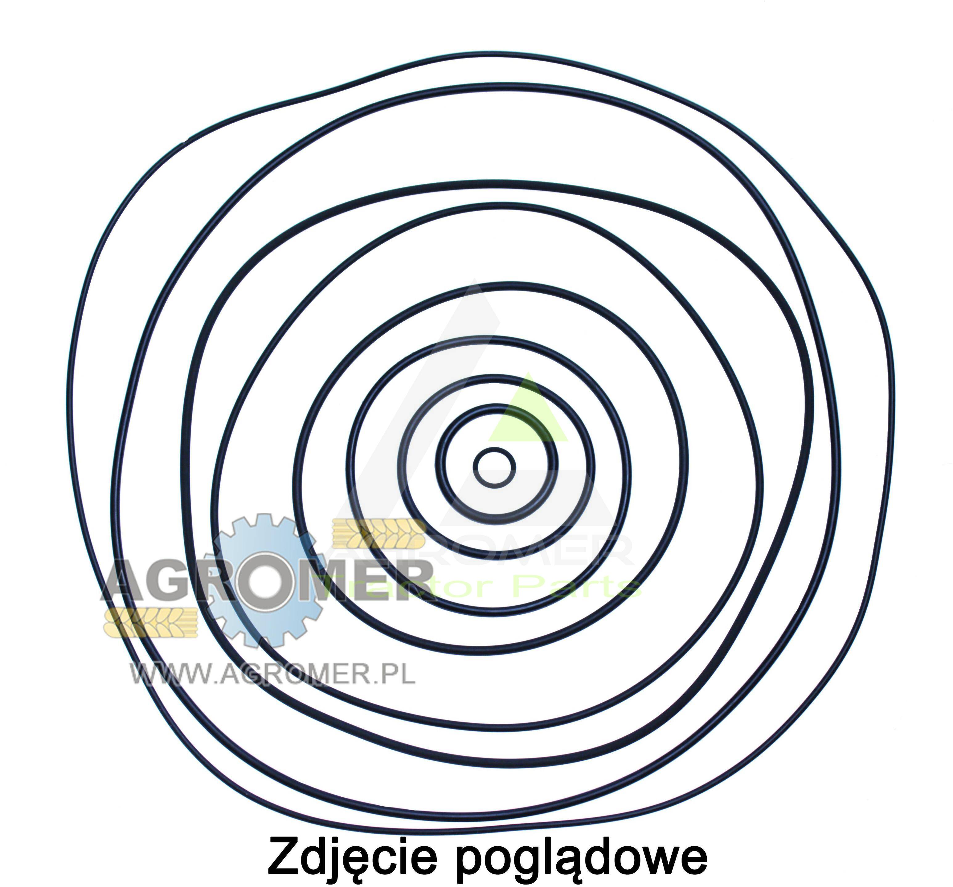 X548809500000 Oring Fendt OEM AGCO