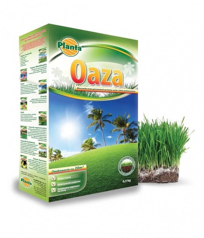 Nasiona trawy Planta Gazon Oaza 0.5 kg