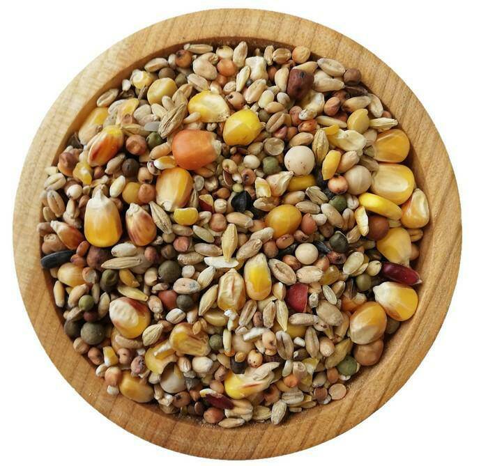 ELPOL mieszanka dla gołębi -S- -25kg- STANDARD