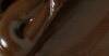 Akrylowa Phoenix 688 Raw Umber