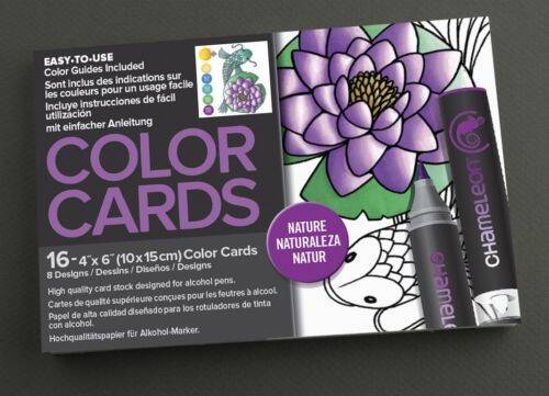 Kolorowanka Color Cards-Nature Chameleon