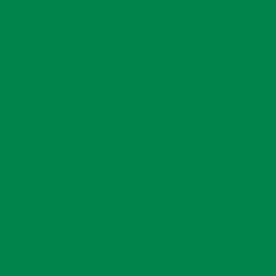 W&N BRUSHMARKER LUSH GREEN (G756 BRUSH) (Zdjęcie 1)