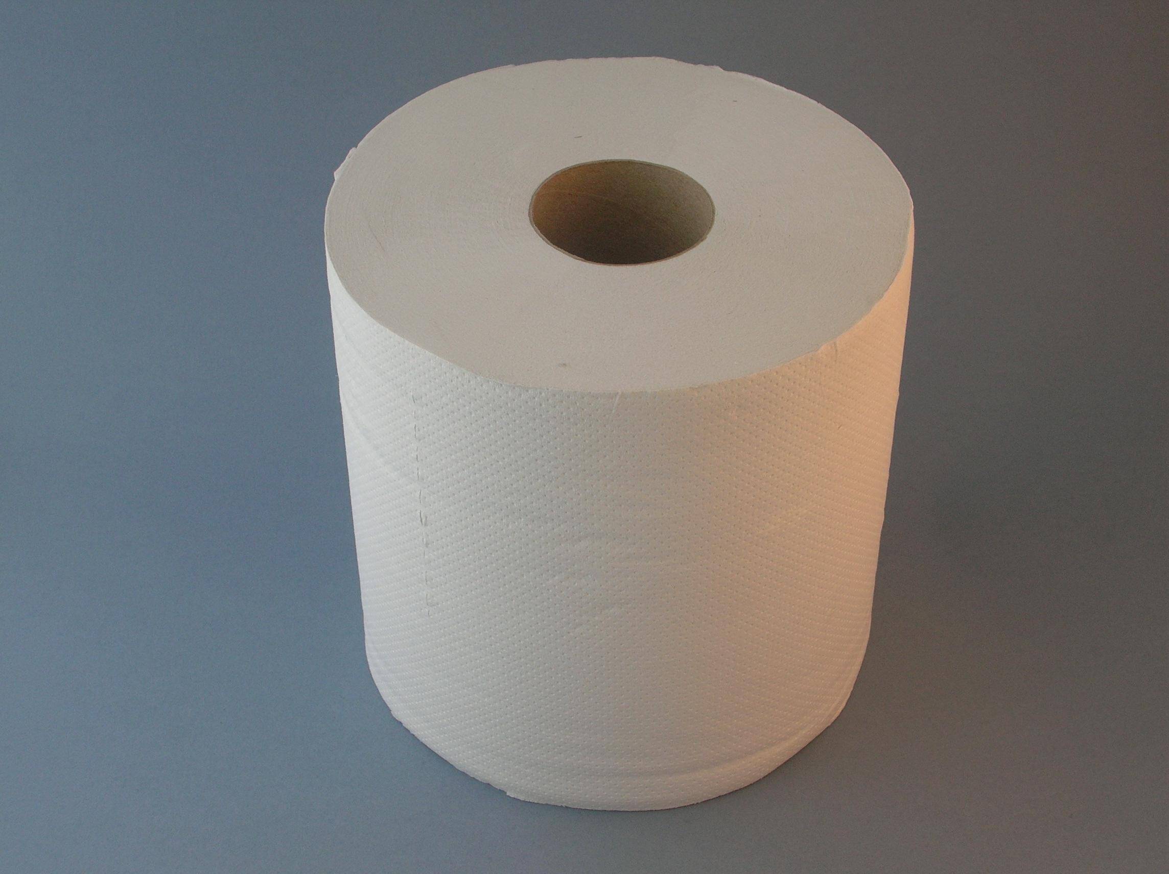 Czyściwo, ręcznik papierowy, celuloza, biały, 300m, 1szt