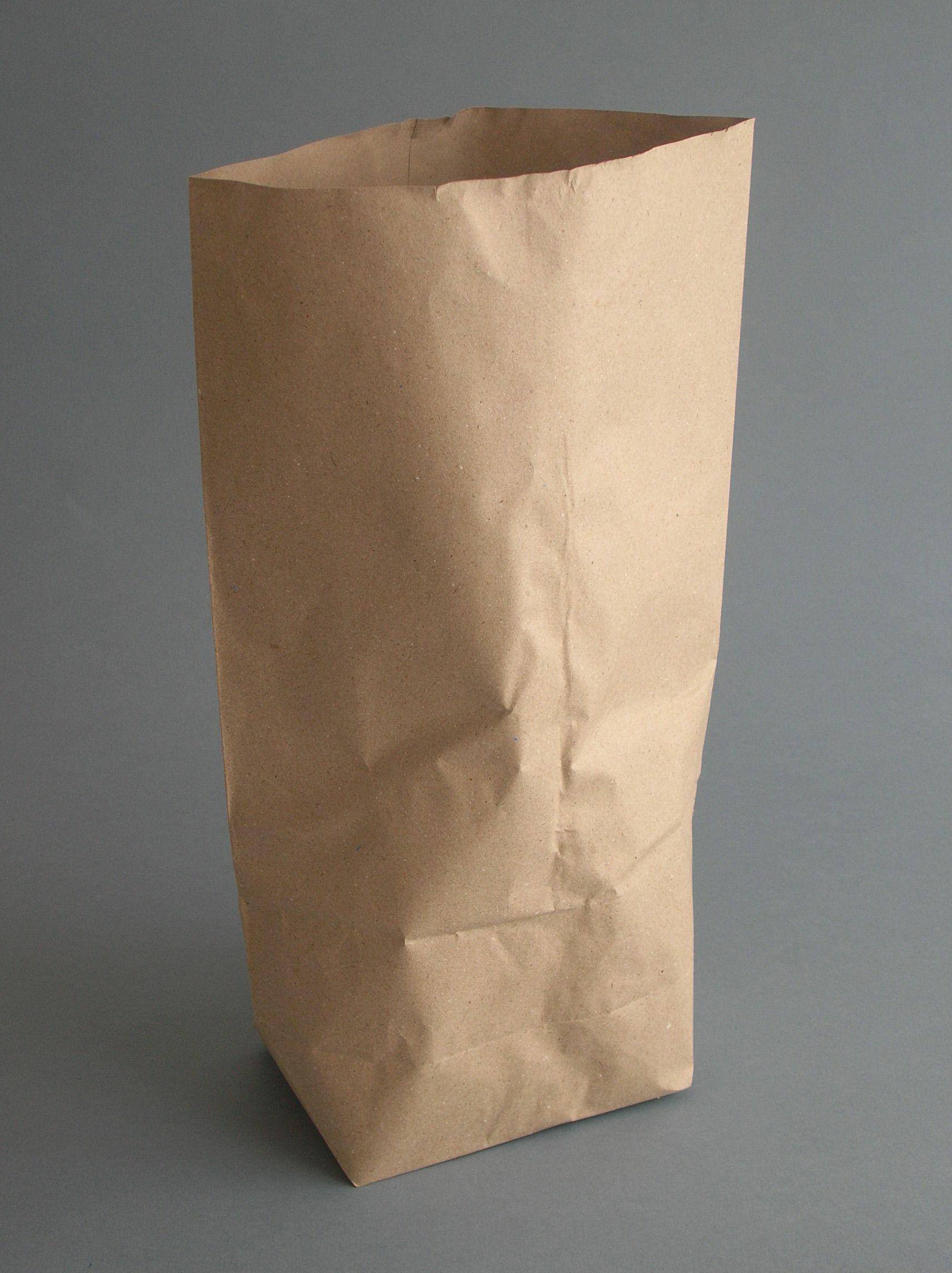 Torebki papierowe 3,0kg 2w. 10kg (Zdjęcie 1)