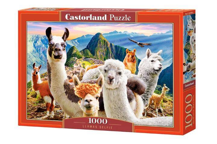 Puzzle 1000el 104758 Castorland 68x47cm
