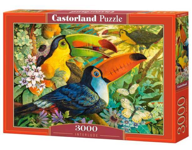 Puzzle 3000el 300433 R20 Castorland