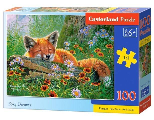 Puzzle 100el 111244 Castorland 40x29cm