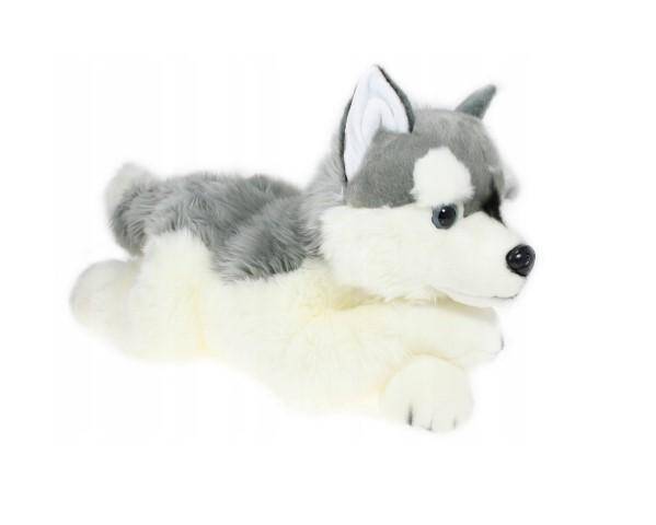 Pies 61cm 981932 R20 Husky