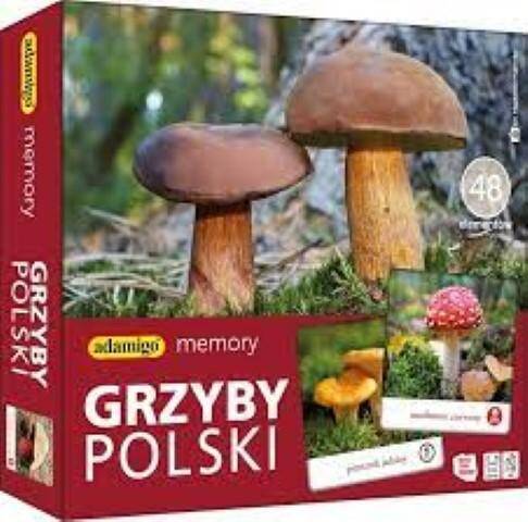 Grzyby Polski R20 007912 Adamigo Memory