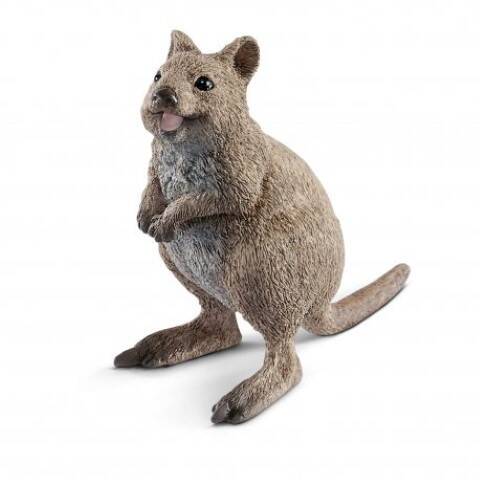 Schleich R10 14823