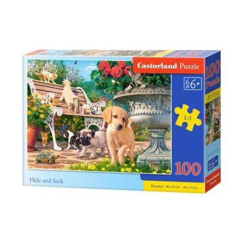 Puzzle 100el 111220 Castorland 40x29cm