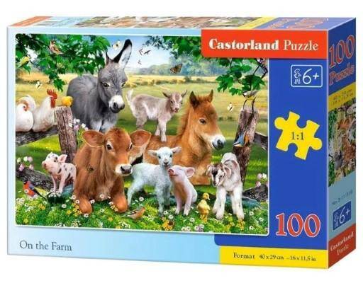 Puzzle 100el 111138 Castorland 40x29cm