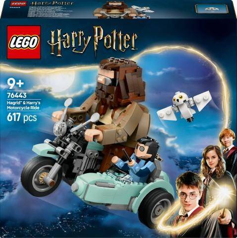 Lego 76443 R10 Harry Potter