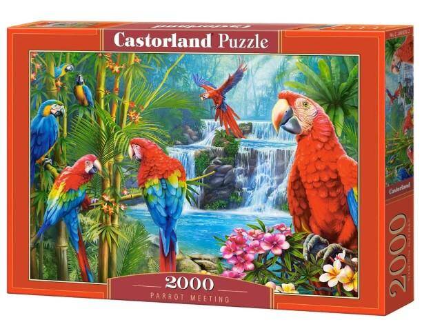 Puzzle 2000el 200870 R20 Castorland