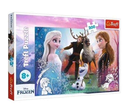 Puzzle 300el 230062