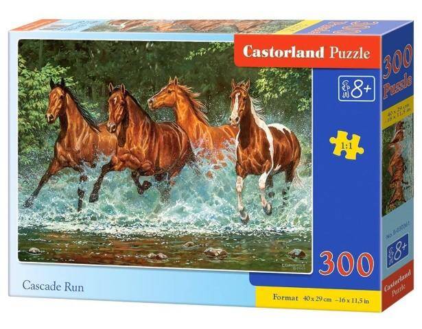 Puzzle 300el 030361 Castorland 40x29cm