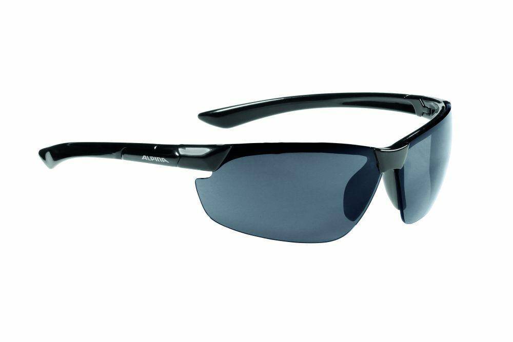 Okulary Alpina Draff czarne S3