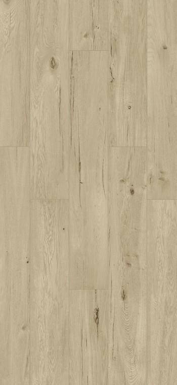 Classic Oak Hell płytka 1597x2600x8mm