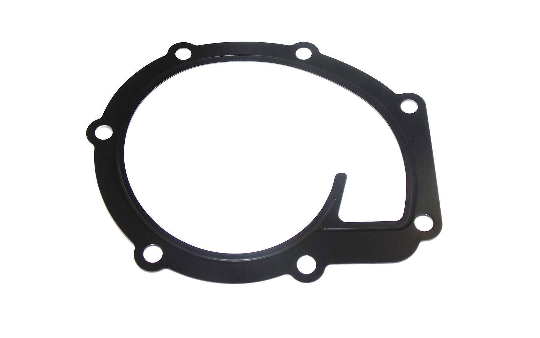 MANITOU Water Pump Seal 704546